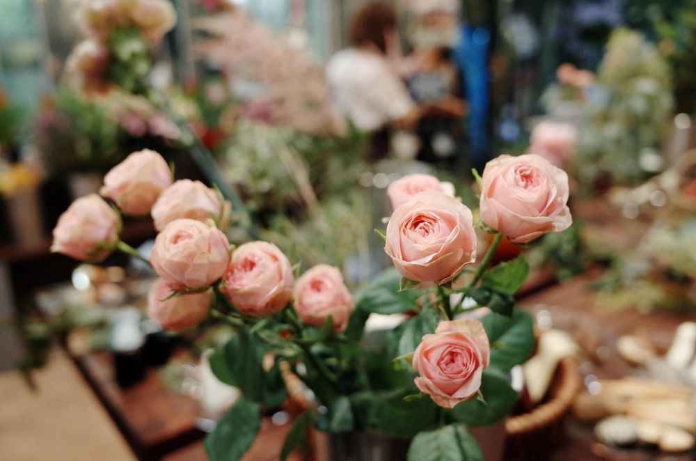 Blomsterbutikk i Sandefjord: Lokale blomsteropplevelser, service og blomster til alle anledninger